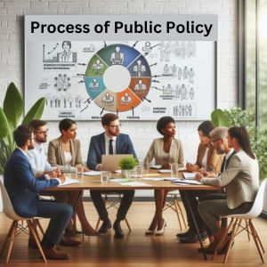 Process of public policy