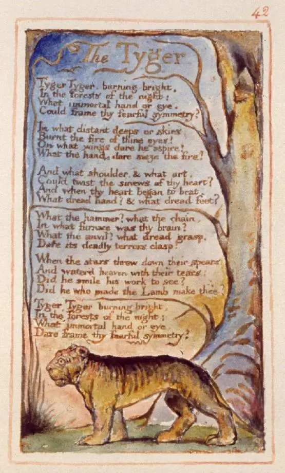 The Tyger poem illustration William Blake Songs of Experience