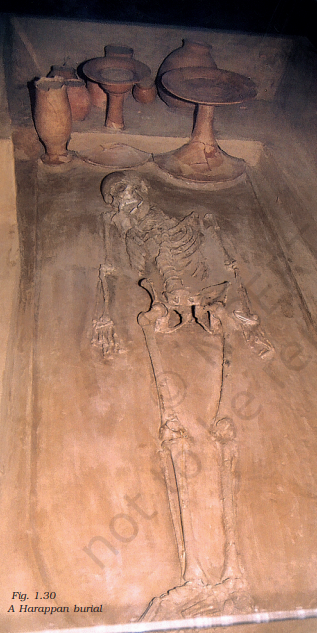 हड़प्पा की एक कब्र