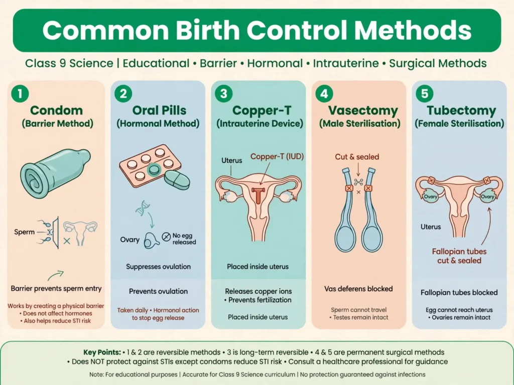 Icons of a condom, oral pills, Copper-T in uterus, vasectomy and tubectomy