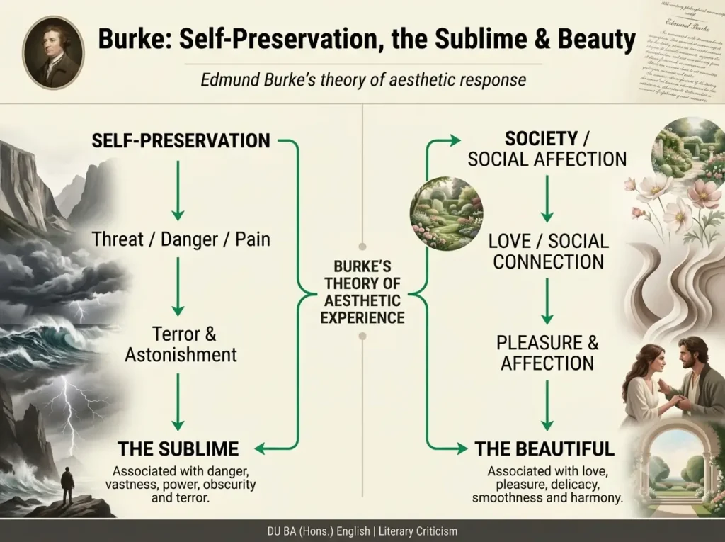 Two sources of passion in Burke Diagram showing self-preservation leading to the sublime and society leading to beauty in Burke's theory