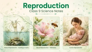 Illustration showing budding in hydra, a flower being pollinated and a mother with a baby, representing reproduction